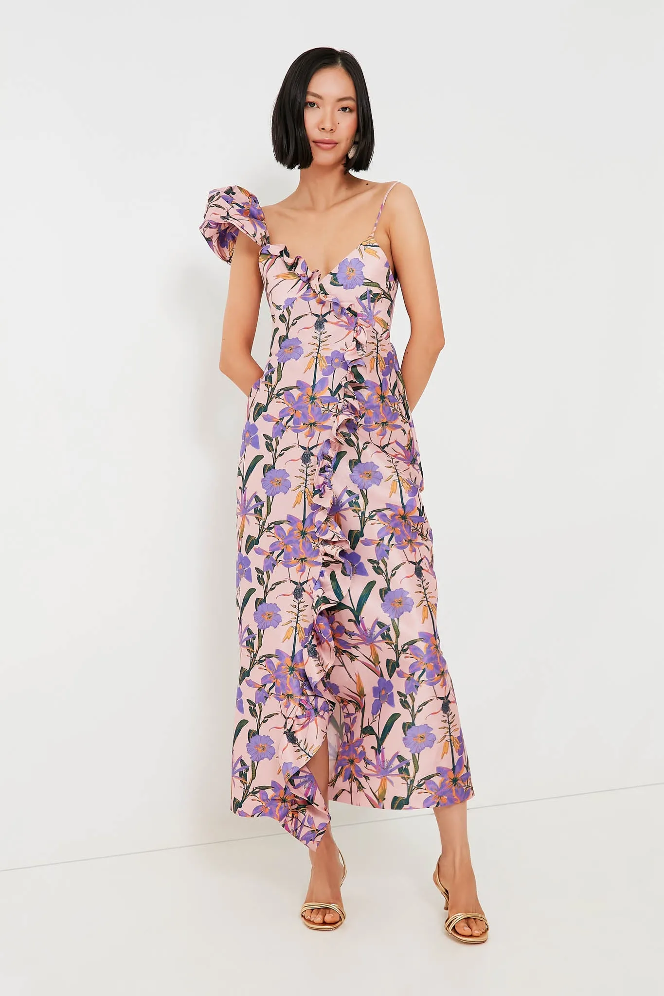 Blush Iris Penelope Maxi Dress