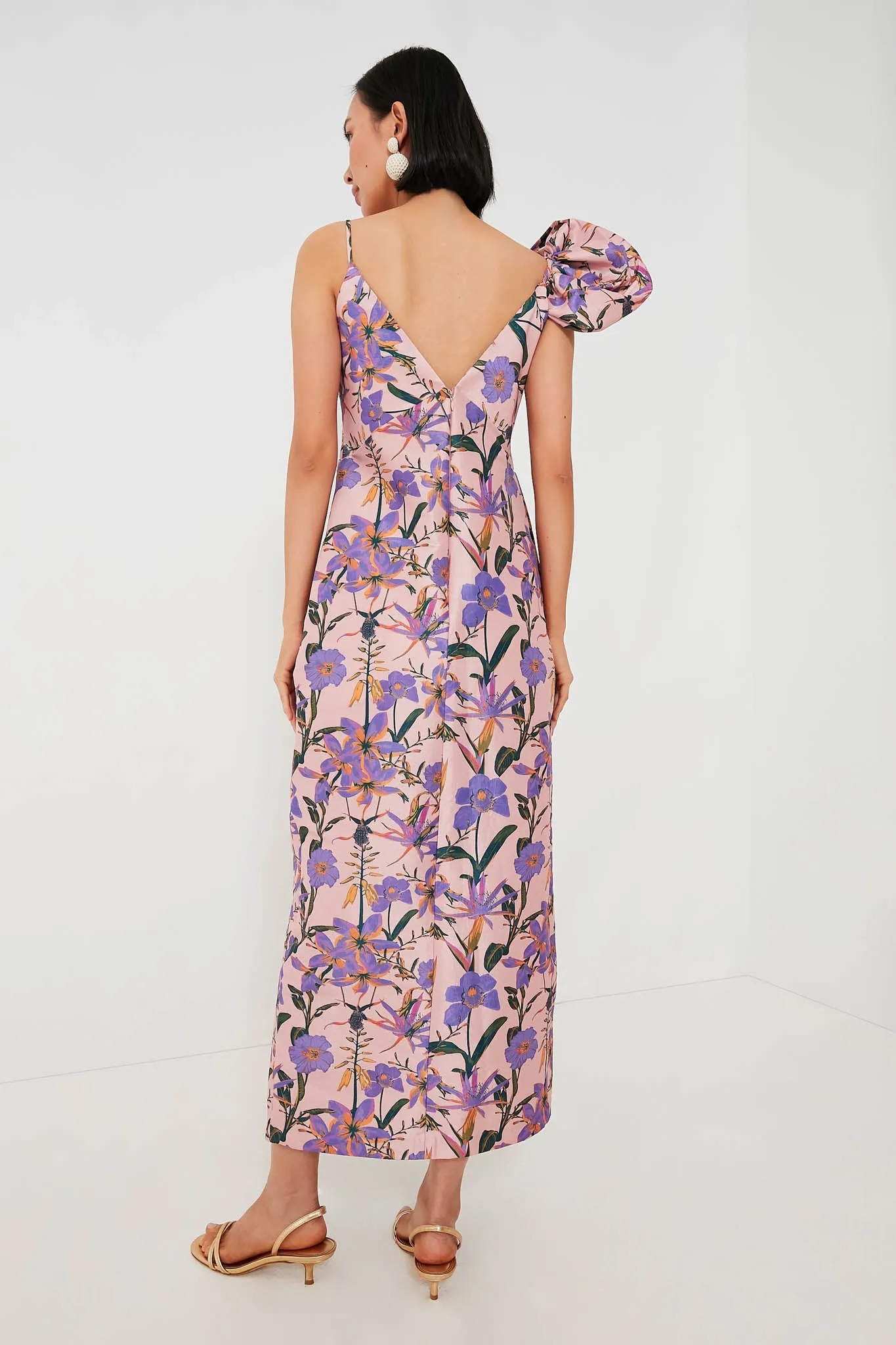 Blush Iris Penelope Maxi Dress