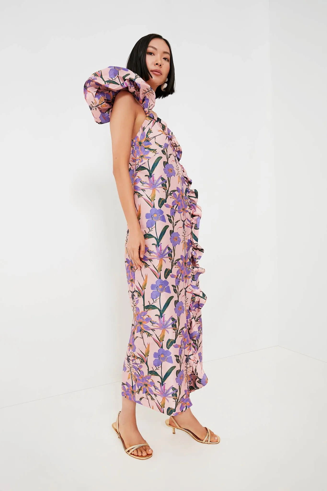 Blush Iris Penelope Maxi Dress