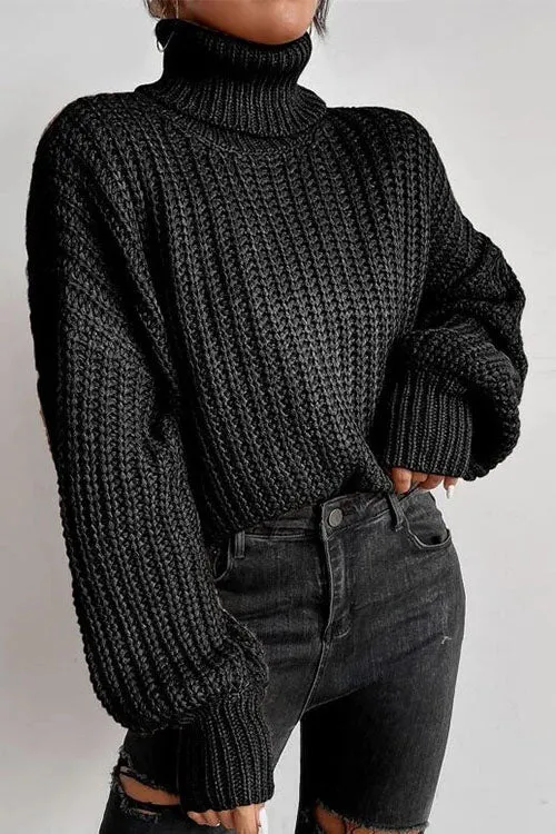elveswallet Leave It All Behind Cropped turtleneck Sweater