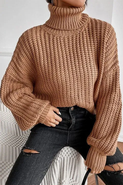 elveswallet Leave It All Behind Cropped turtleneck Sweater