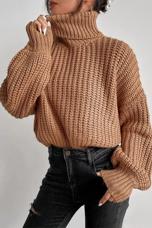 elveswallet Leave It All Behind Cropped turtleneck Sweater