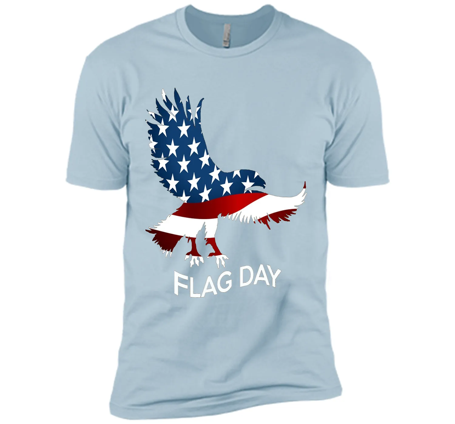 Flag American Shirt / Flag Day T-Shirt