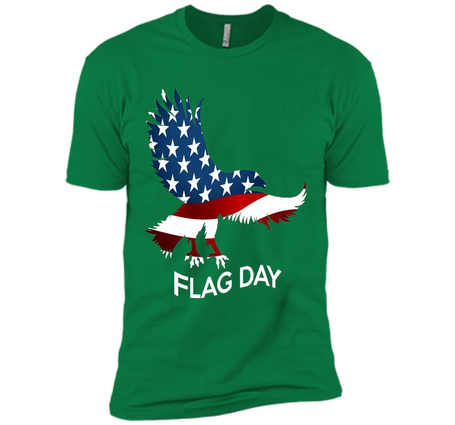 Flag American Shirt / Flag Day T-Shirt