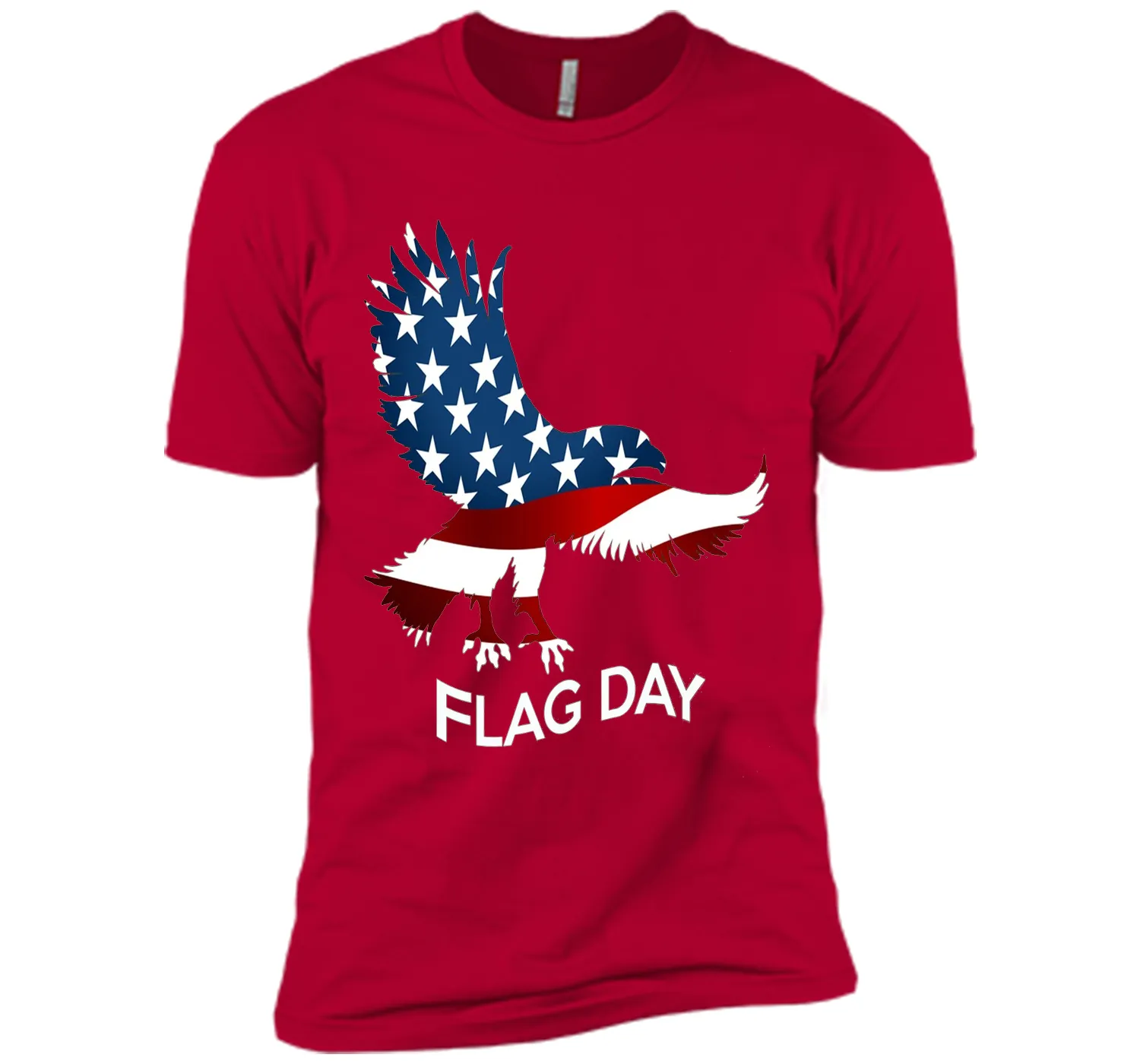 Flag American Shirt / Flag Day T-Shirt