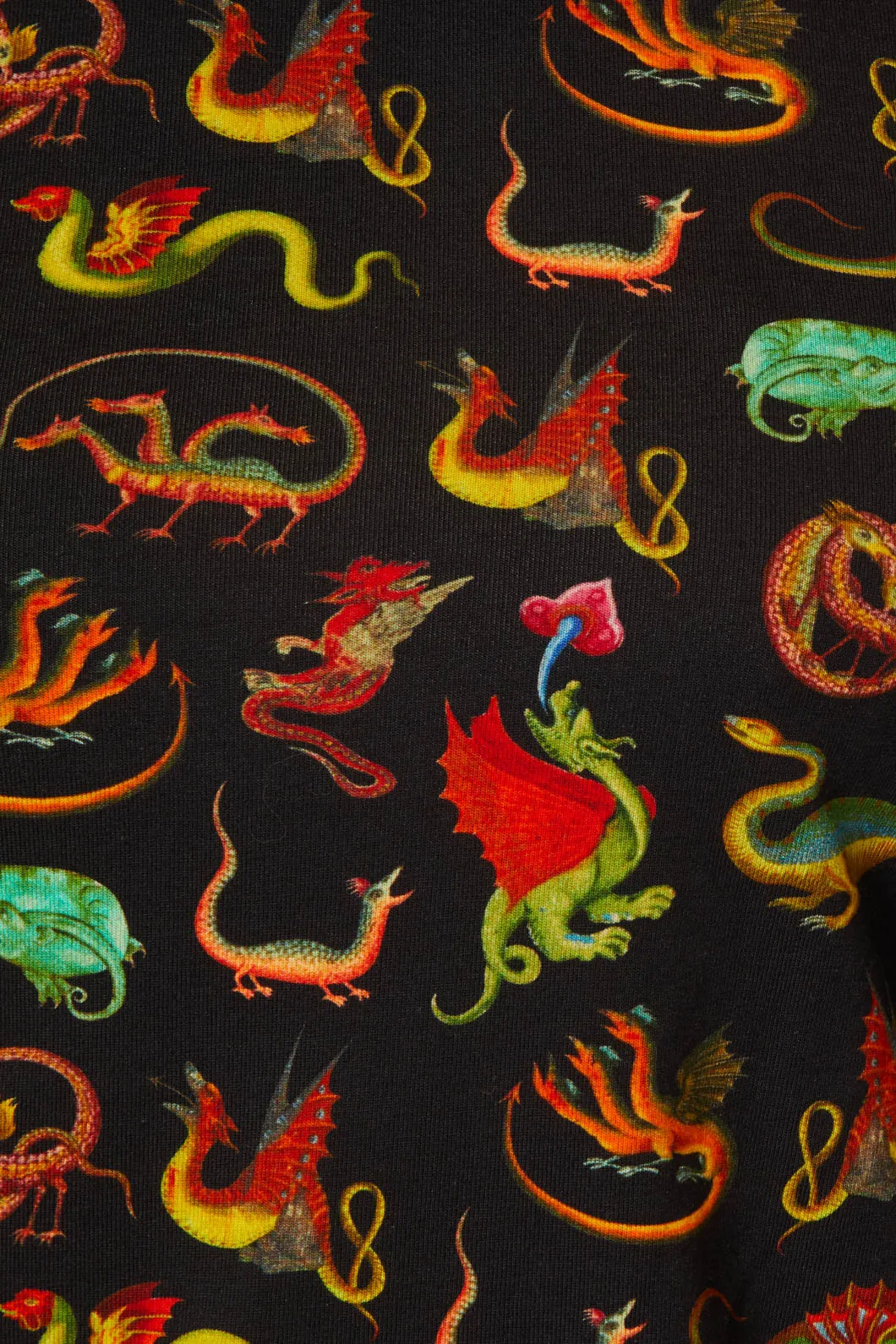 Medieval Dragon Top