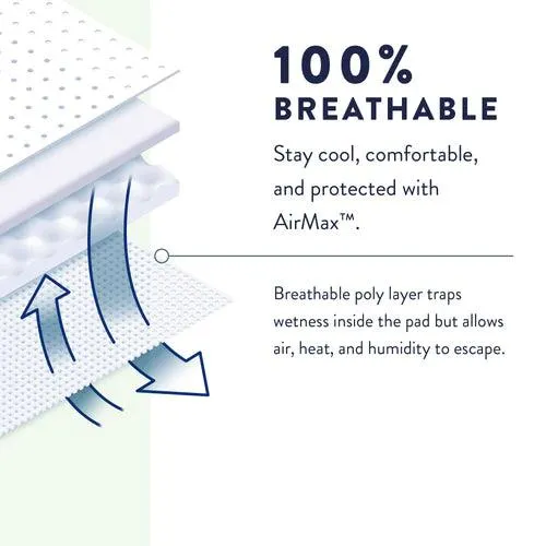 Prevail Extra Absorbency Underwear