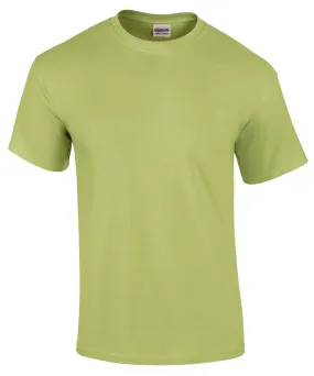 Ultra Cotton adult t-shirt | Pistachio