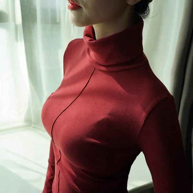 Winters Turtleneck